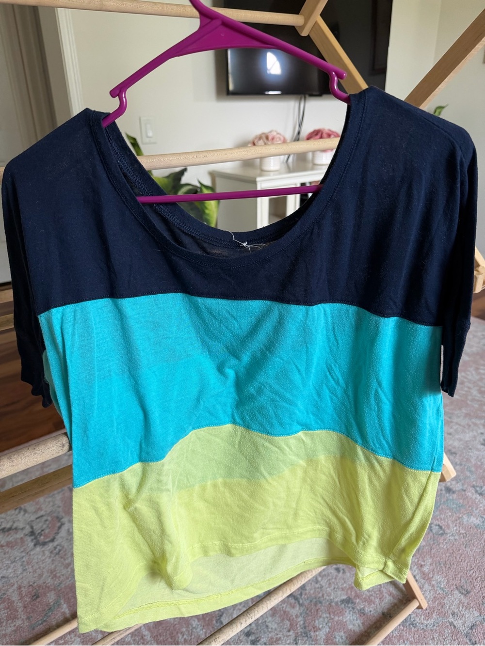 aerie Striped Scoop Neck Boxy Tee
